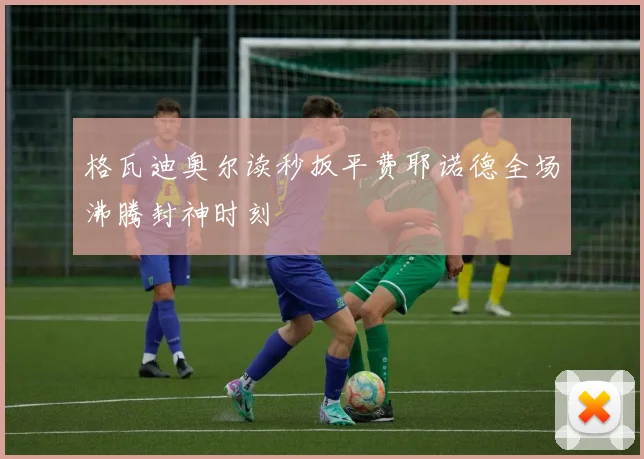 格瓦迪奥尔读秒扳平费耶诺德全场沸腾封神时刻