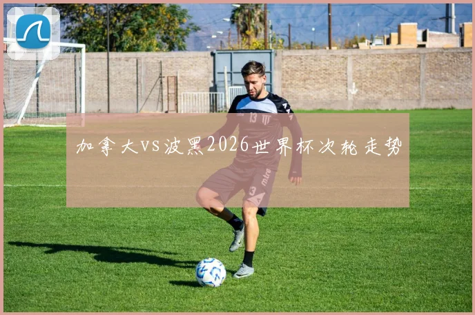 加拿大vs波黑2026世界杯次轮走势