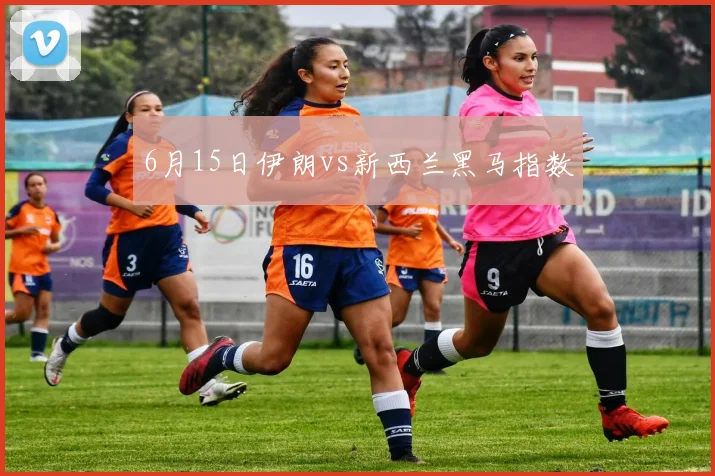 6月15日伊朗vs新西兰黑马指数