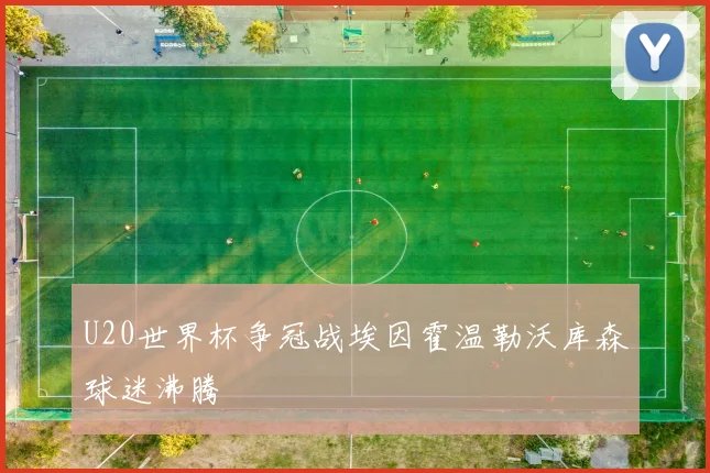 U20世界杯争冠战埃因霍温勒沃库森球迷沸腾