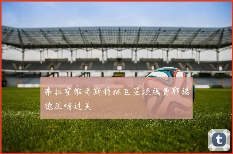 弗拉霍维奇斯特林巨星连线费耶诺德压哨过关