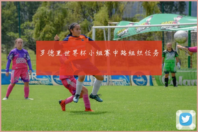罗德里世界杯小组赛中路组织任务
