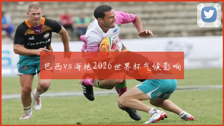 巴西vs海地2026世界杯气候影响