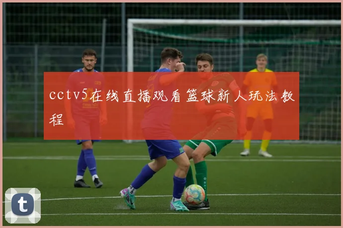 cctv5在线直播观看篮球新人玩法教程