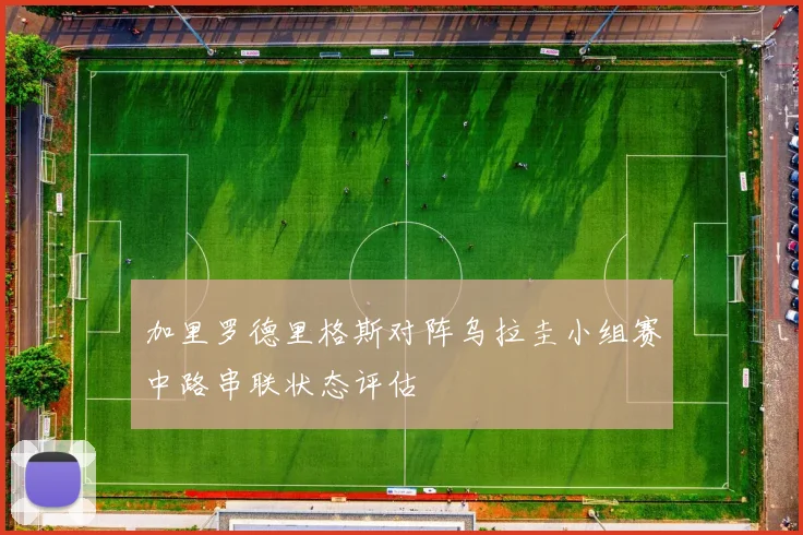 加里罗德里格斯对阵乌拉圭小组赛中路串联状态评估