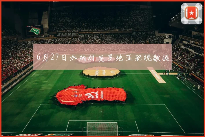 6月27日加纳对克罗地亚犯规数据