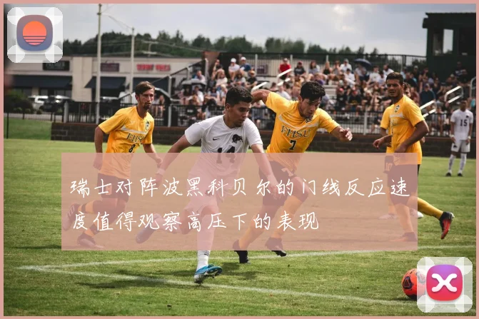 瑞士对阵波黑科贝尔的门线反应速度值得观察高压下的表现